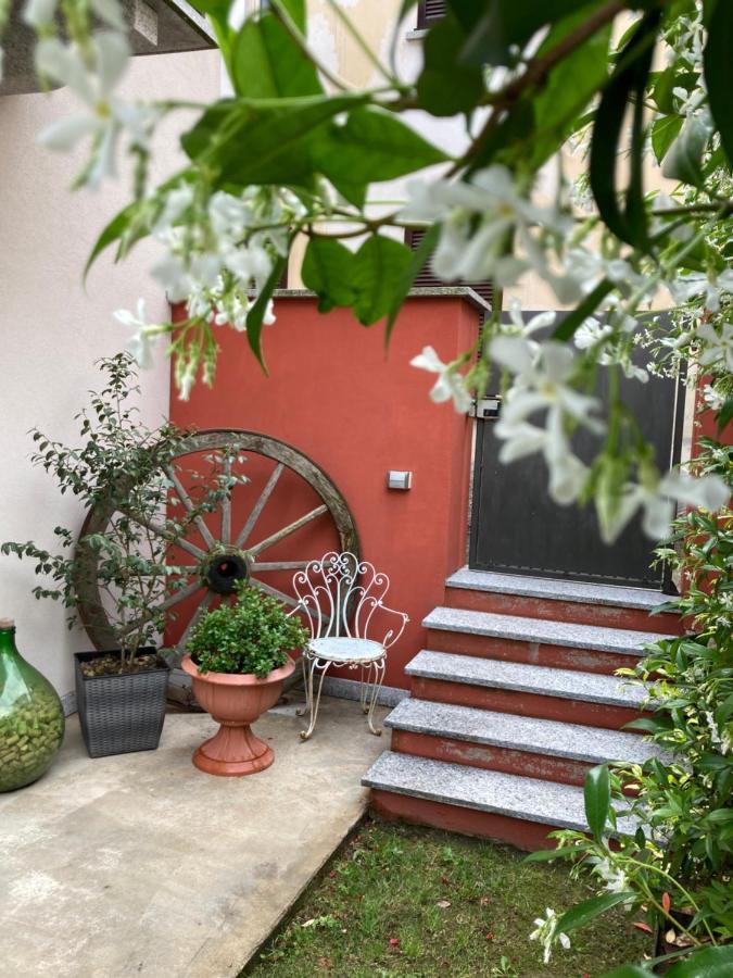 Il Riccio Di Ricciano Bed & Breakfast Casale Corte Cerro Exterior photo
